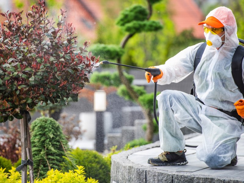 Karesi Haşere İlaçlama